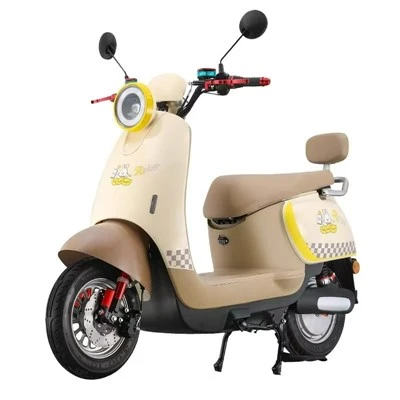 OEM maxsus elektr moped